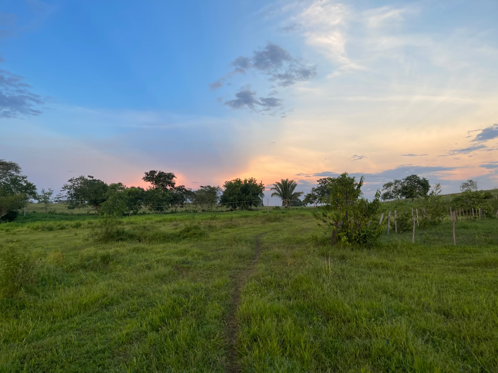 Paisaje